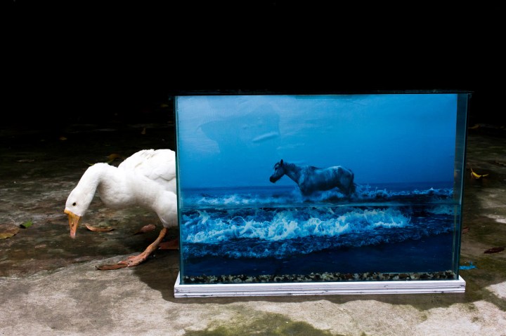 20755650642_d86834d82b_h