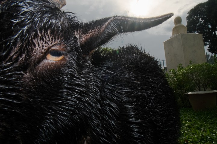 22146119751_8e2148a4e1_k