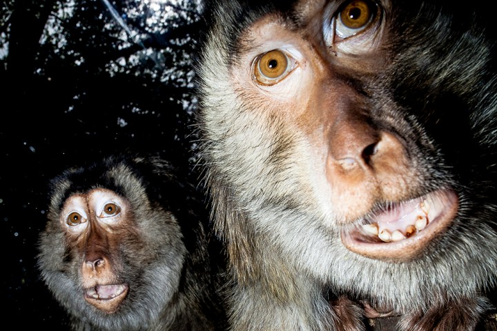 1_SALVATORE_MATARAZZO